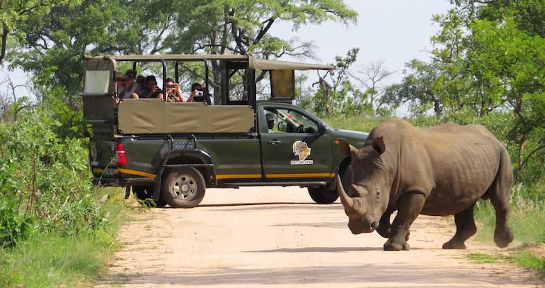Ride in Kruger