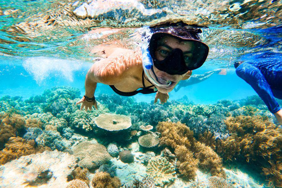 Snorkelling in Great Barrier