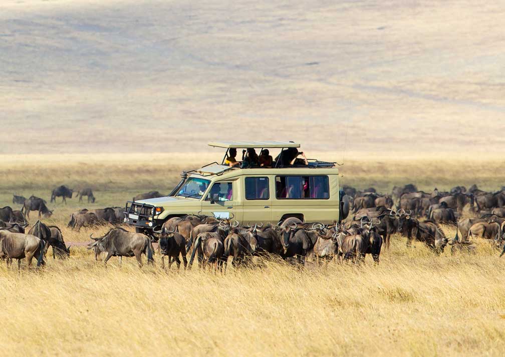 Serengeti National Park 1