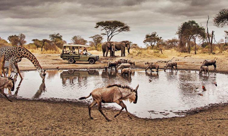 Serengeti National Park 750x450 1