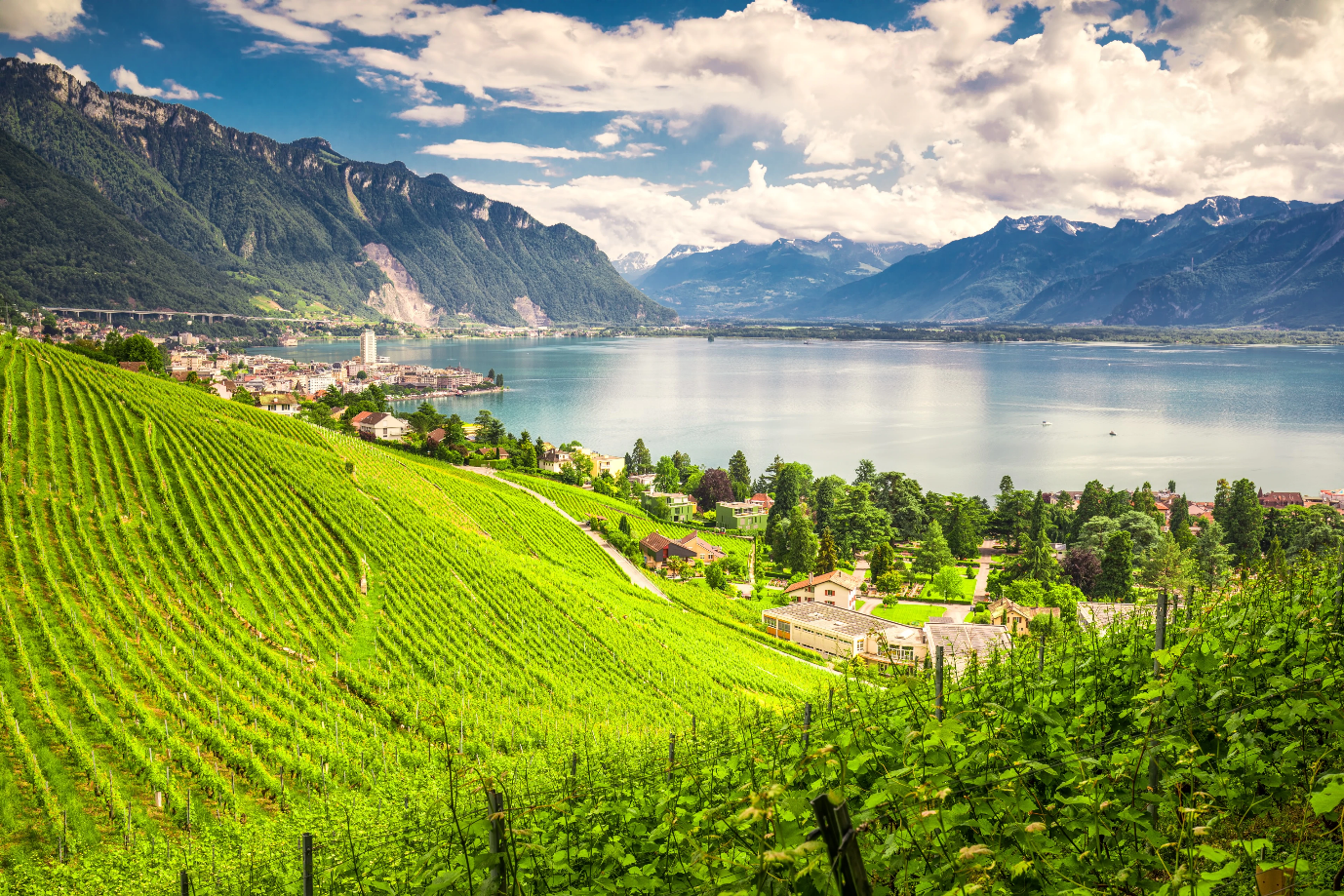 MONTREUX TOUR