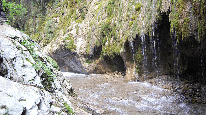 image8