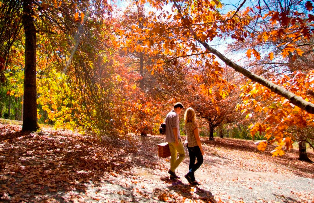 autumn in south australia