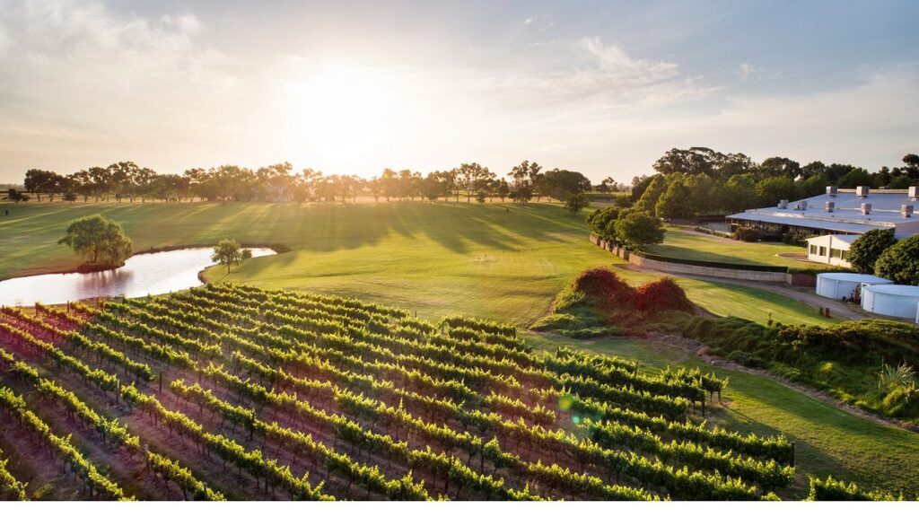 sandalford wines